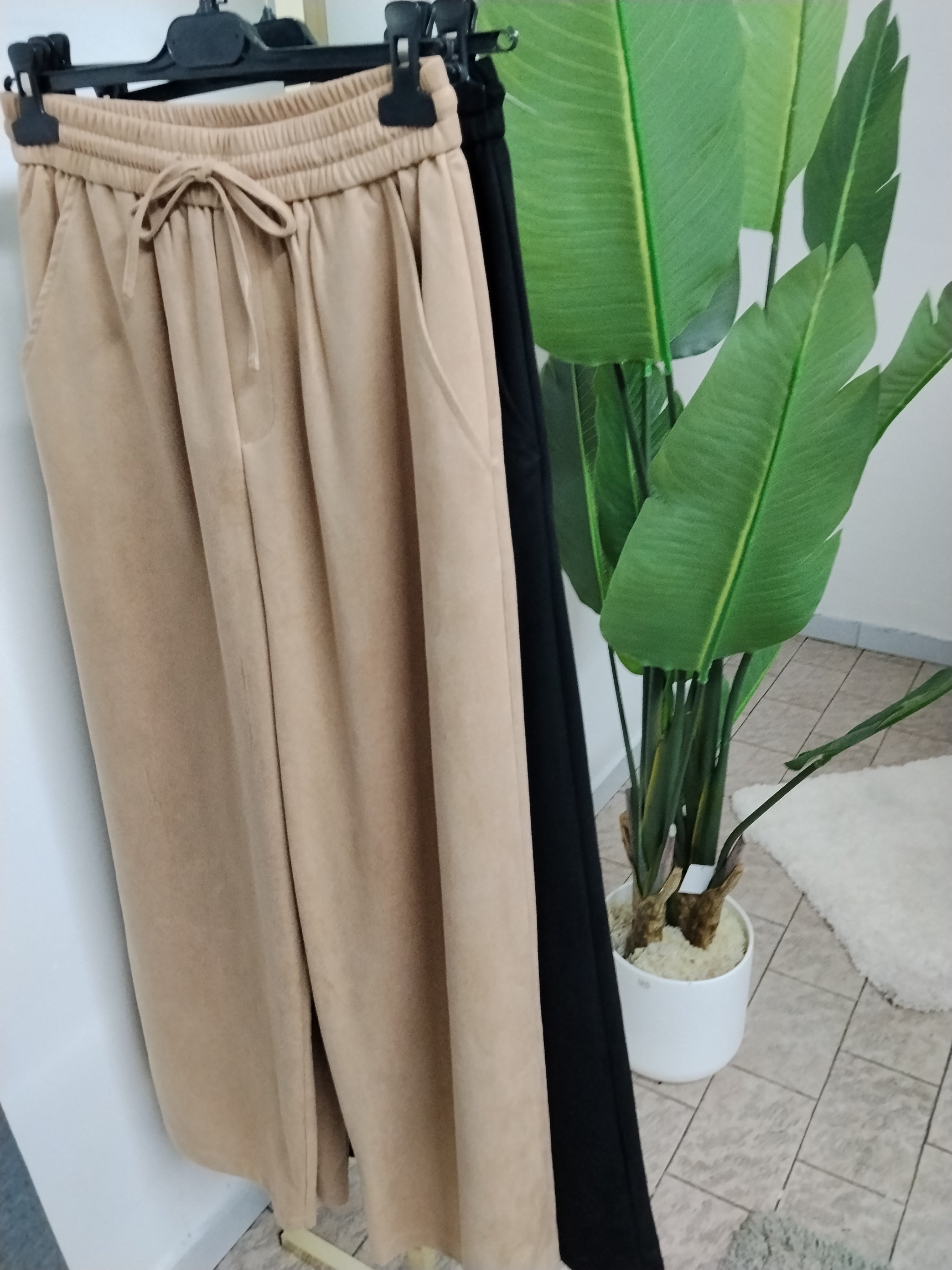 Pantalone