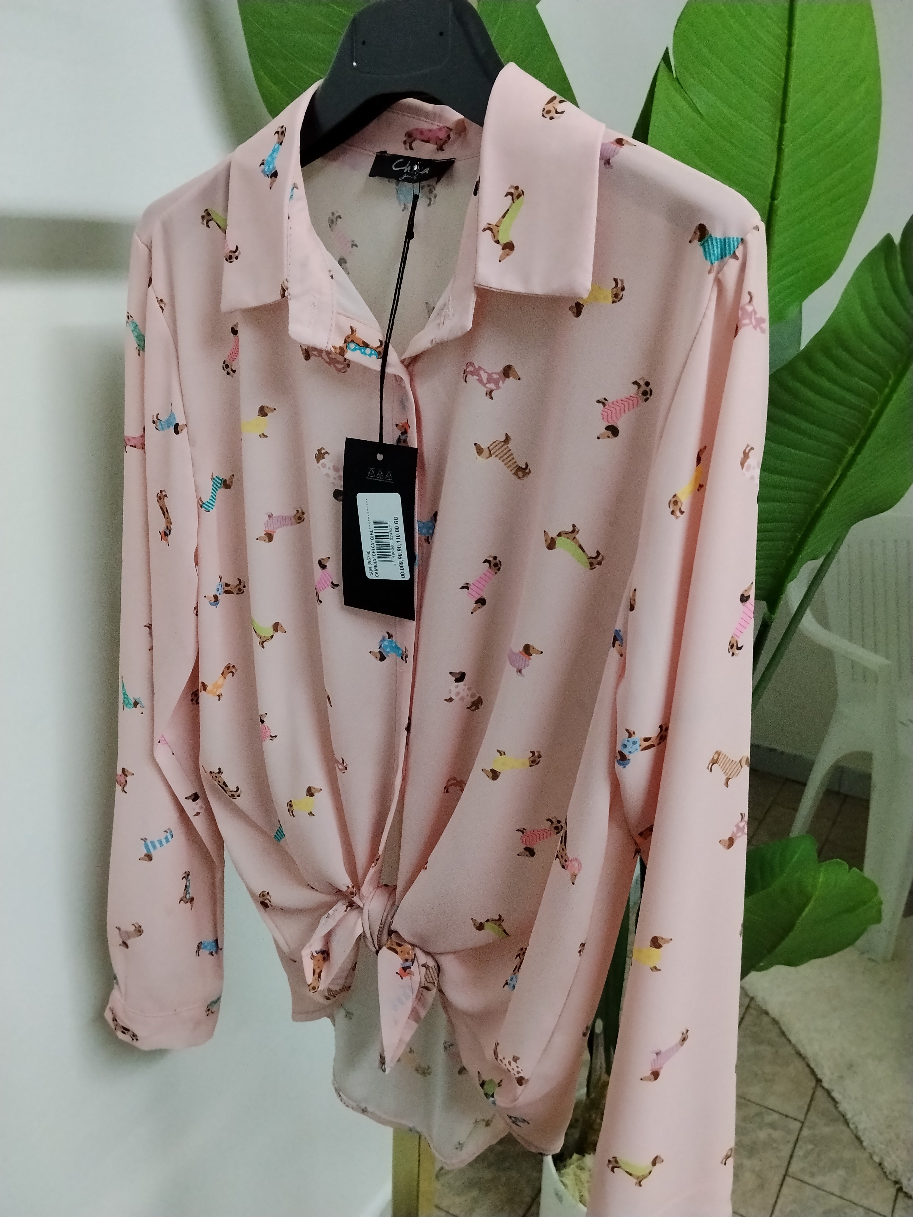 Camicia