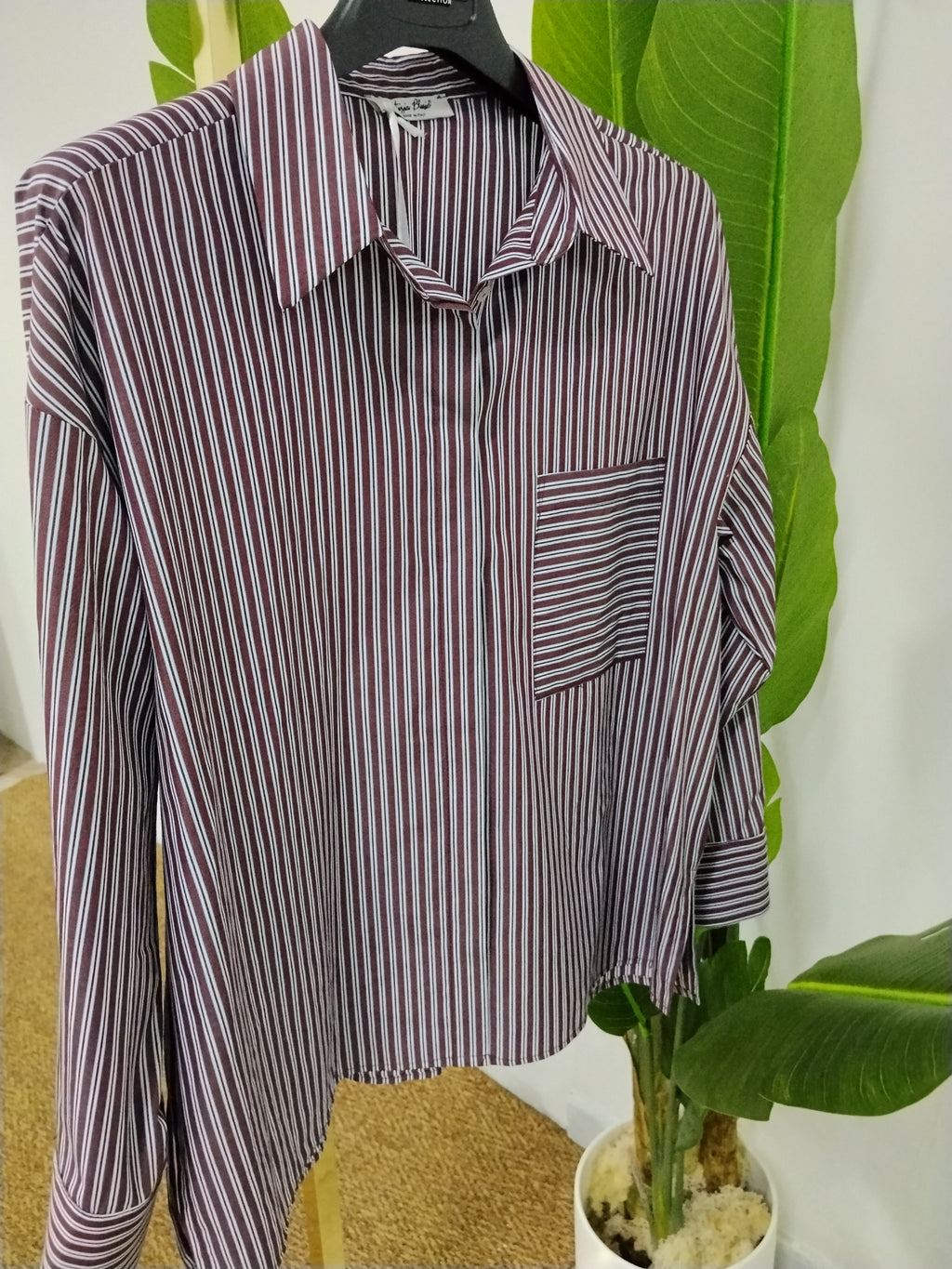 Camicia