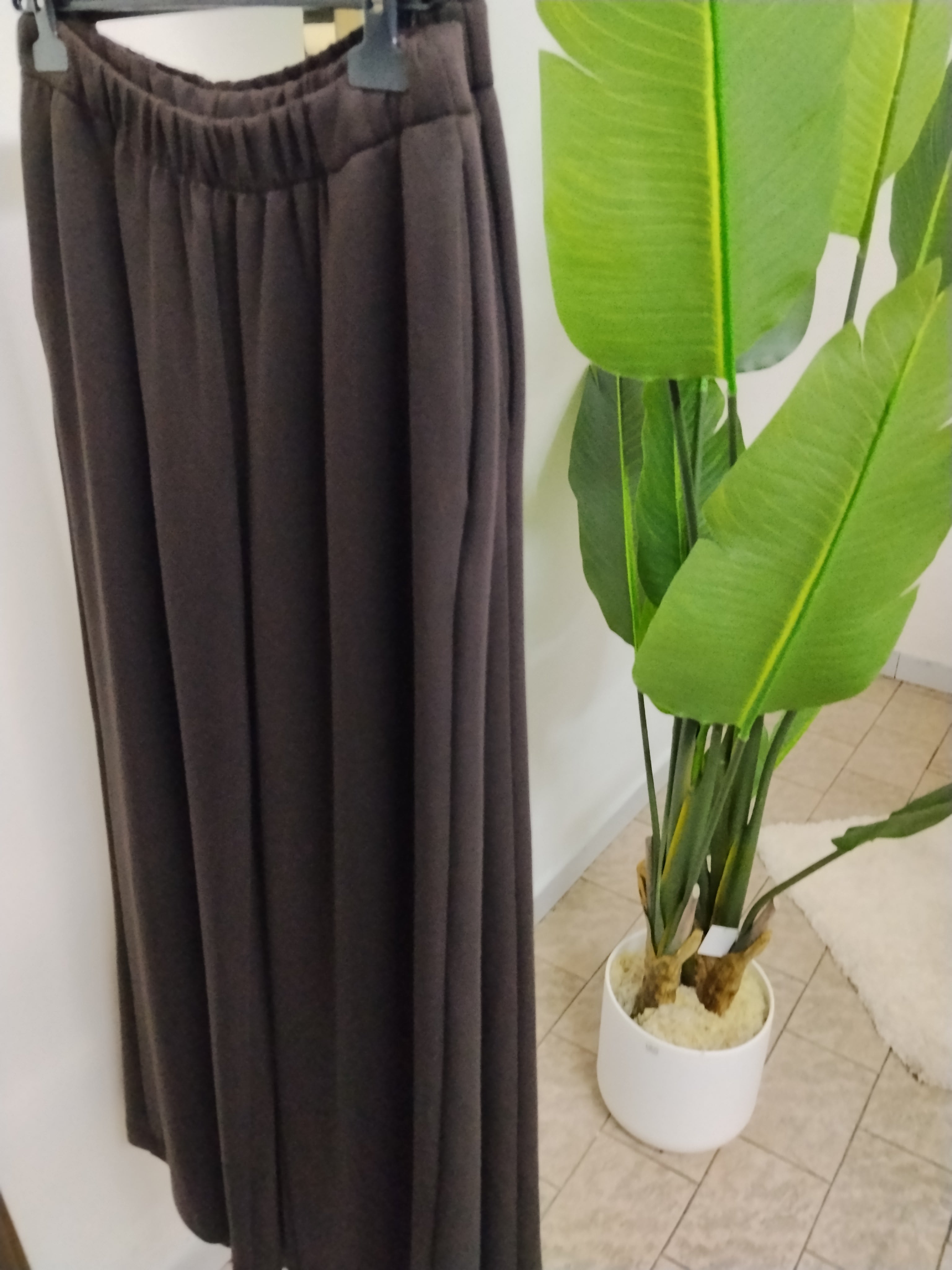Panta